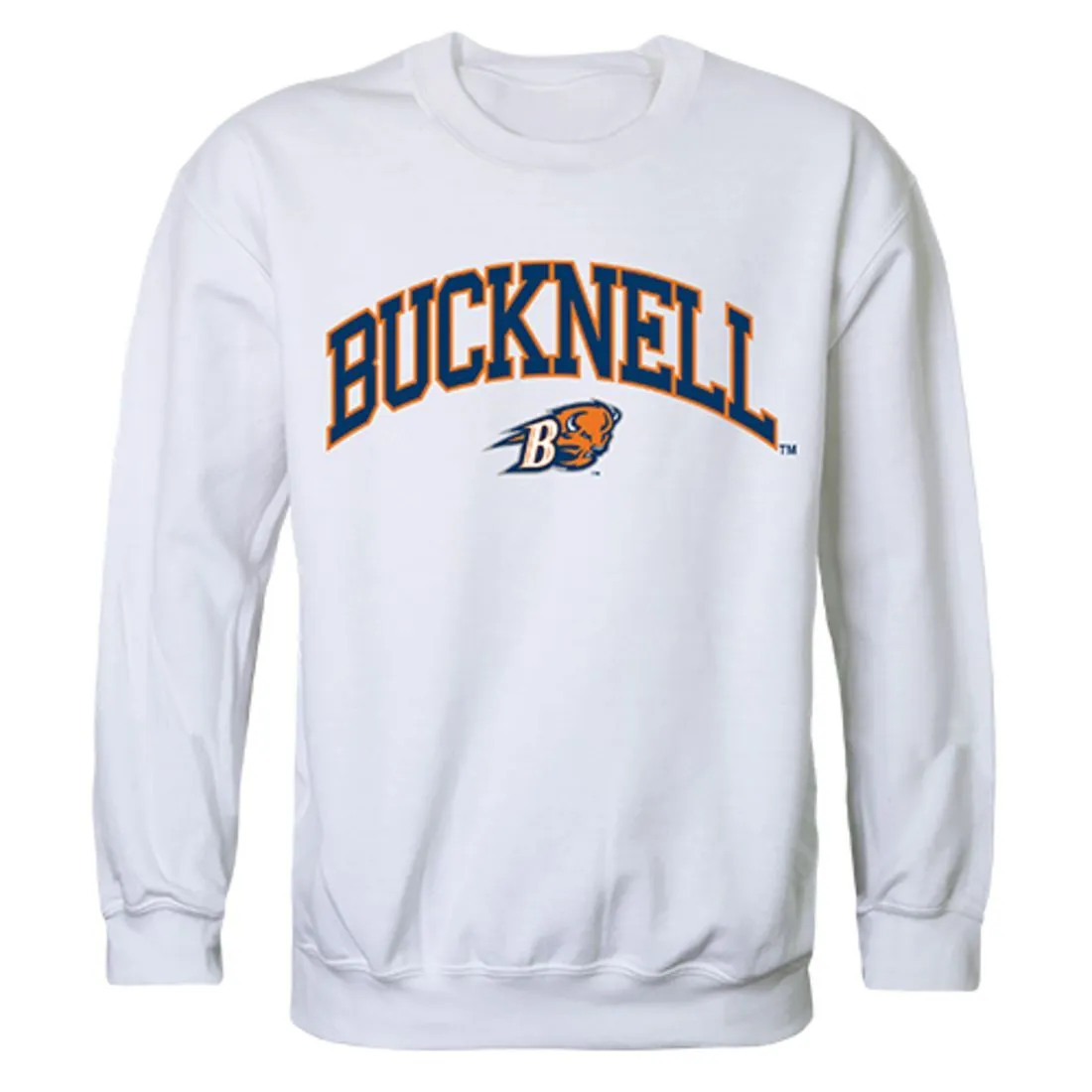 Bucknell University Campus Crewneck Pullover Sweatshirt Sweater White