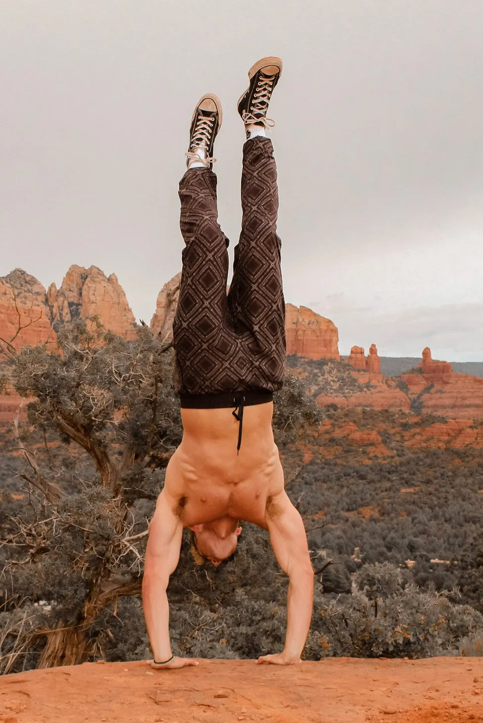 Men's Joggers (Summit)