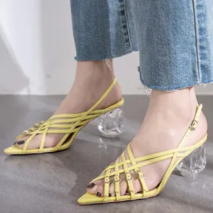 Pointed Toe Strange Chunky Heel Adjustable Buckle Summer Sandals
